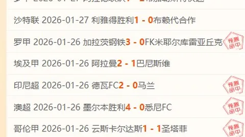 逆势突围，昨日战果显著：数据模型与精准市场定位的奇妙背离揭秘！